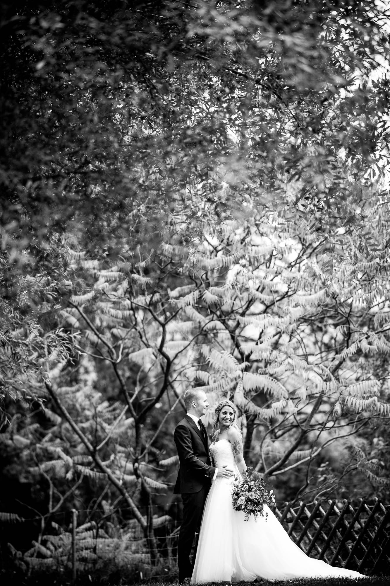 Export x3 1DX25991 Hochzeit 2019 Tatjana und Hermann 2